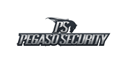 Pegaso Security